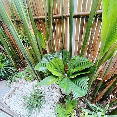 Baphu Apartment - 5Br - 5 Mins Walk To My Khe Beach Da Nang Exterior photo