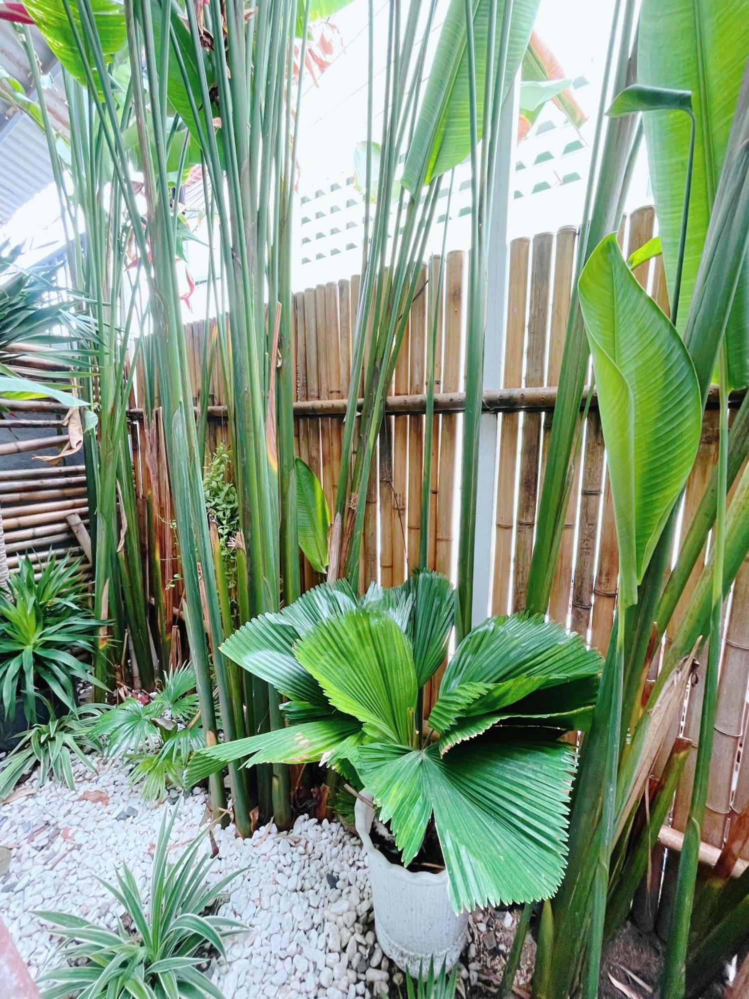 Baphu - 5br - 5 Mins Walk To My Khe Apartment Da Nang