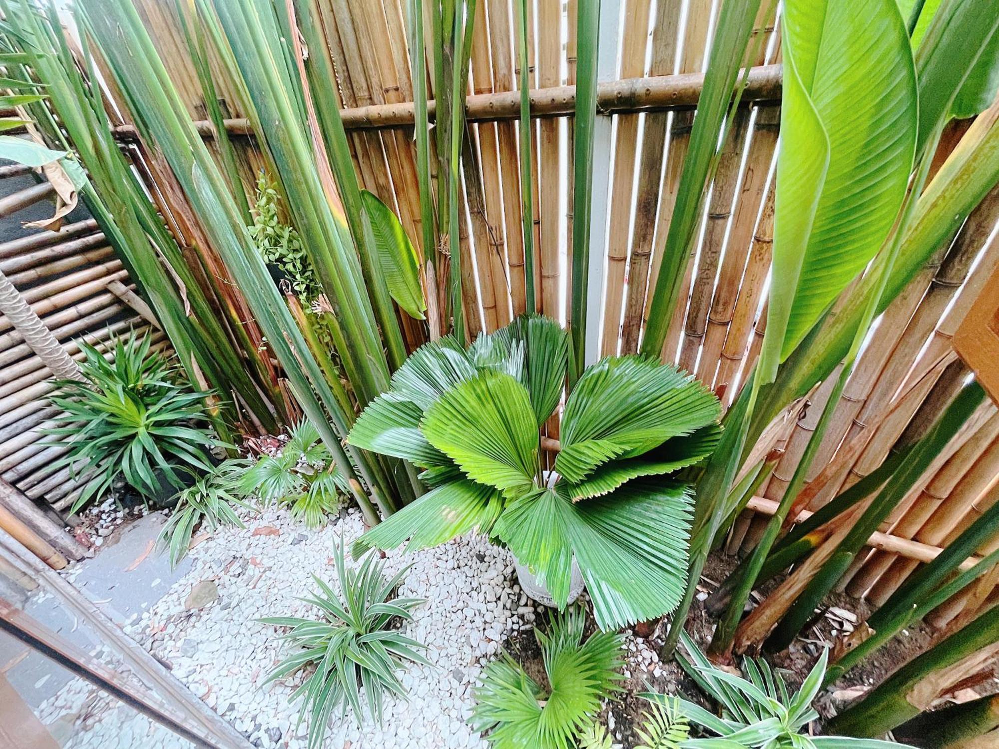 Apartment Baphu - 5br - 5 Mins Walk To My Khe Da Nang