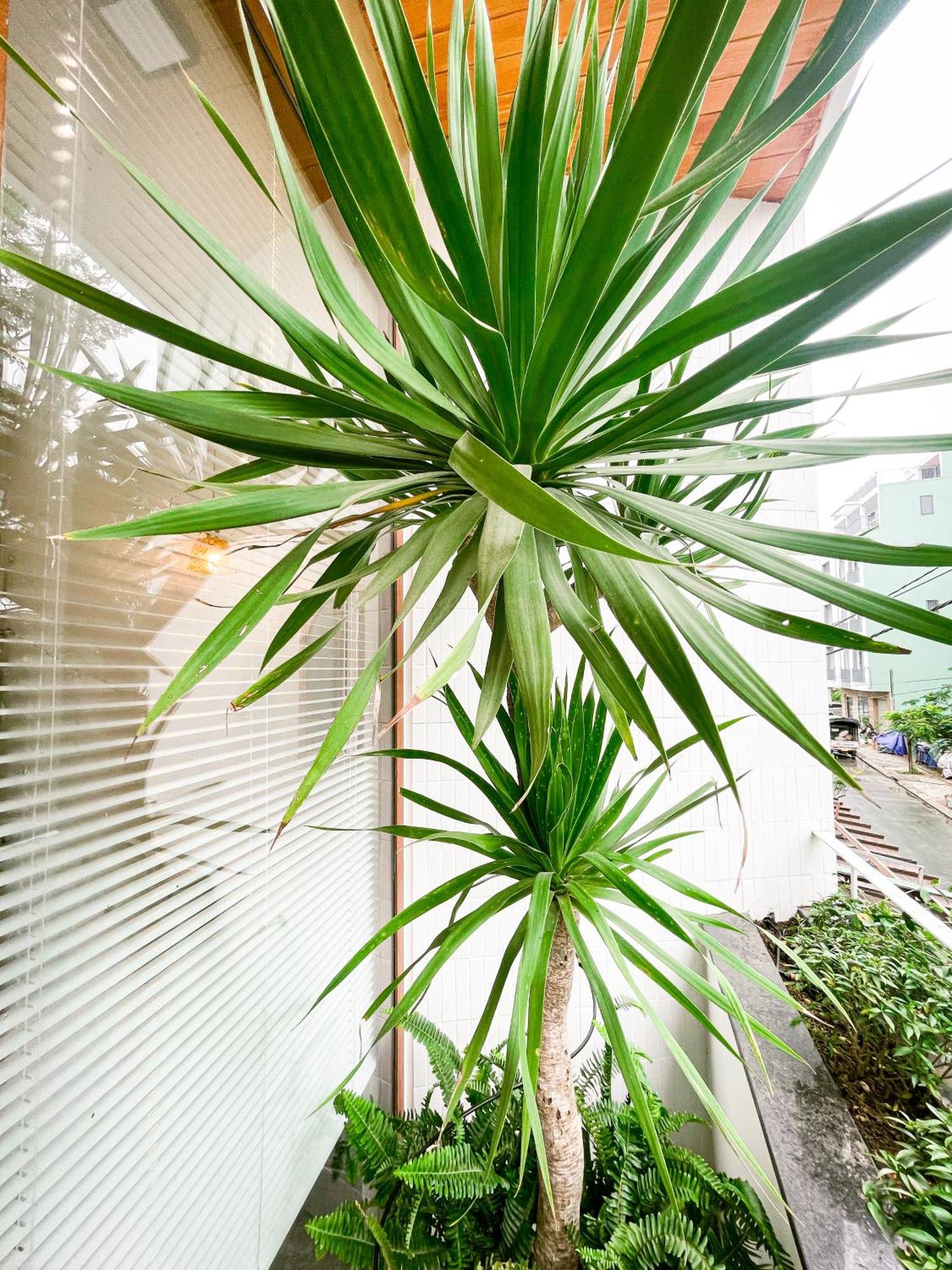 Apartment Baphu - 5br - 5 Mins Walk To My Khe Da Nang
